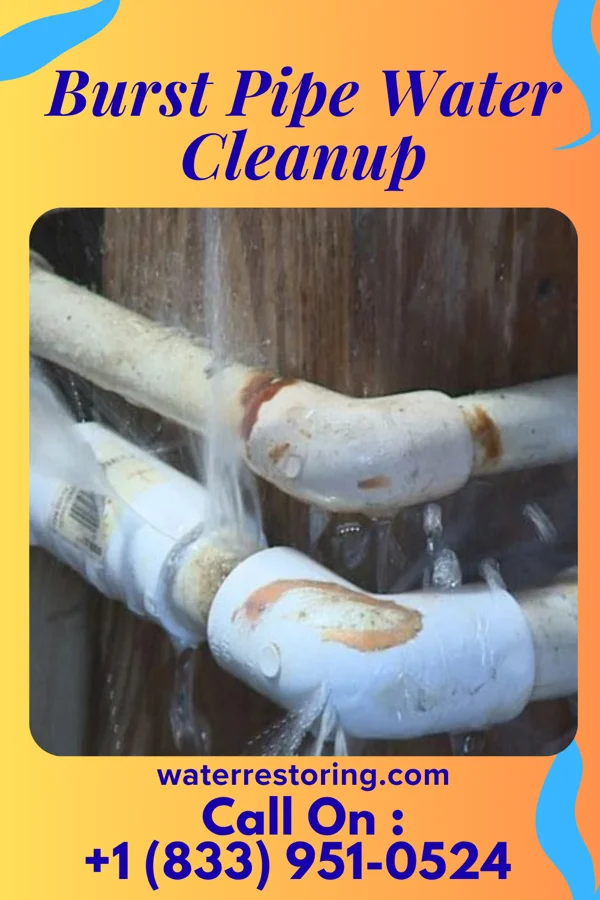 Burst Pipe Water Cleanup in Fairport, NY