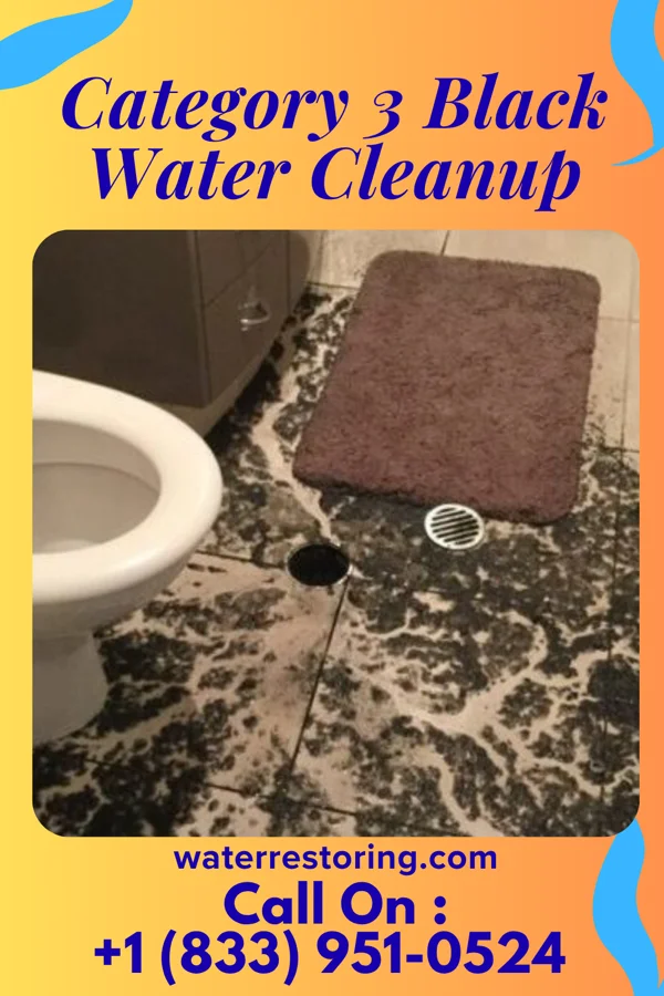 Category 3 Black Water Cleanup in Fairport, NY