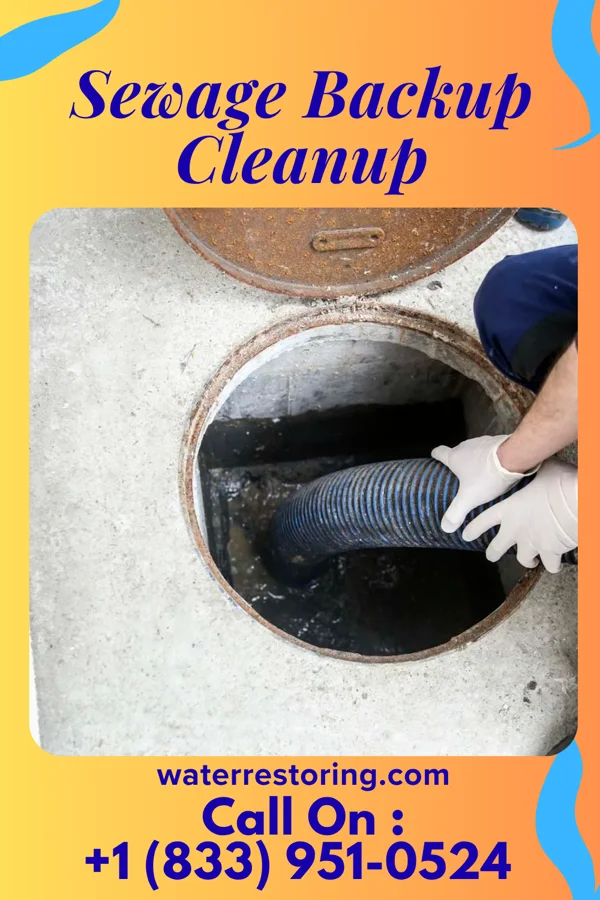 Sewage Backup Cleanup in Fairport, NY