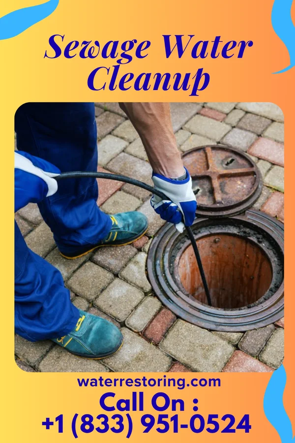 Sewage Water Cleanup in Fairport, NY