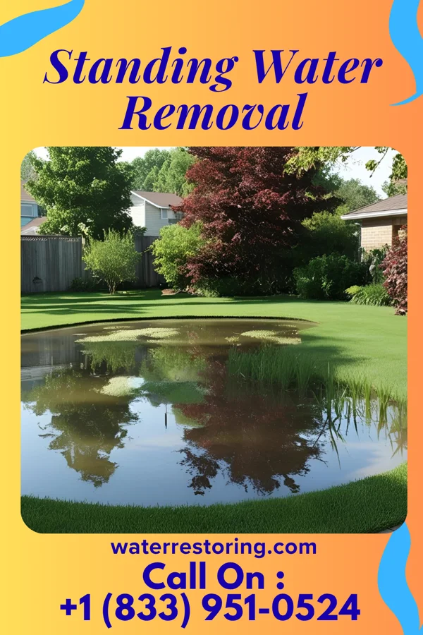 Standing Water Removal in Fairport, NY